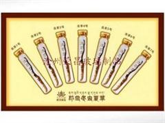 (冬蟲(chóng)夏草玻璃瓶,冬蟲(chóng)夏草包裝瓶,極草玻璃瓶)