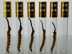 單根裝蟲(chóng)草玻璃瓶(單根裝蟲(chóng)草瓶,單只裝蟲(chóng)草瓶,單支裝蟲(chóng)草瓶)