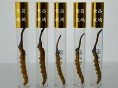 單根裝蟲(chóng)草玻璃瓶(單根裝蟲(chóng)草瓶,單只裝蟲(chóng)草瓶,單支裝蟲(chóng)草瓶)